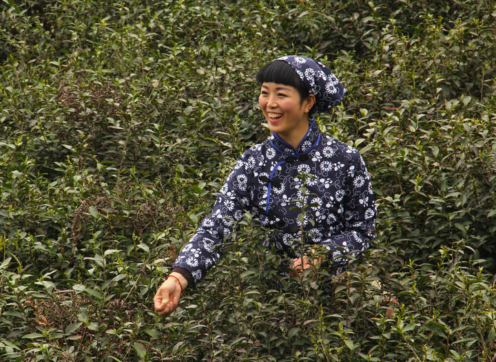 韩国女主播在线 暗室独白